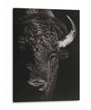 Glimpse Negro I - Julie T. Chapman | Cuadro decorativo de Canvas Lab