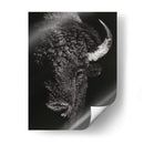 Glimpse Negro I - Julie T. Chapman | Cuadro decorativo de Canvas Lab