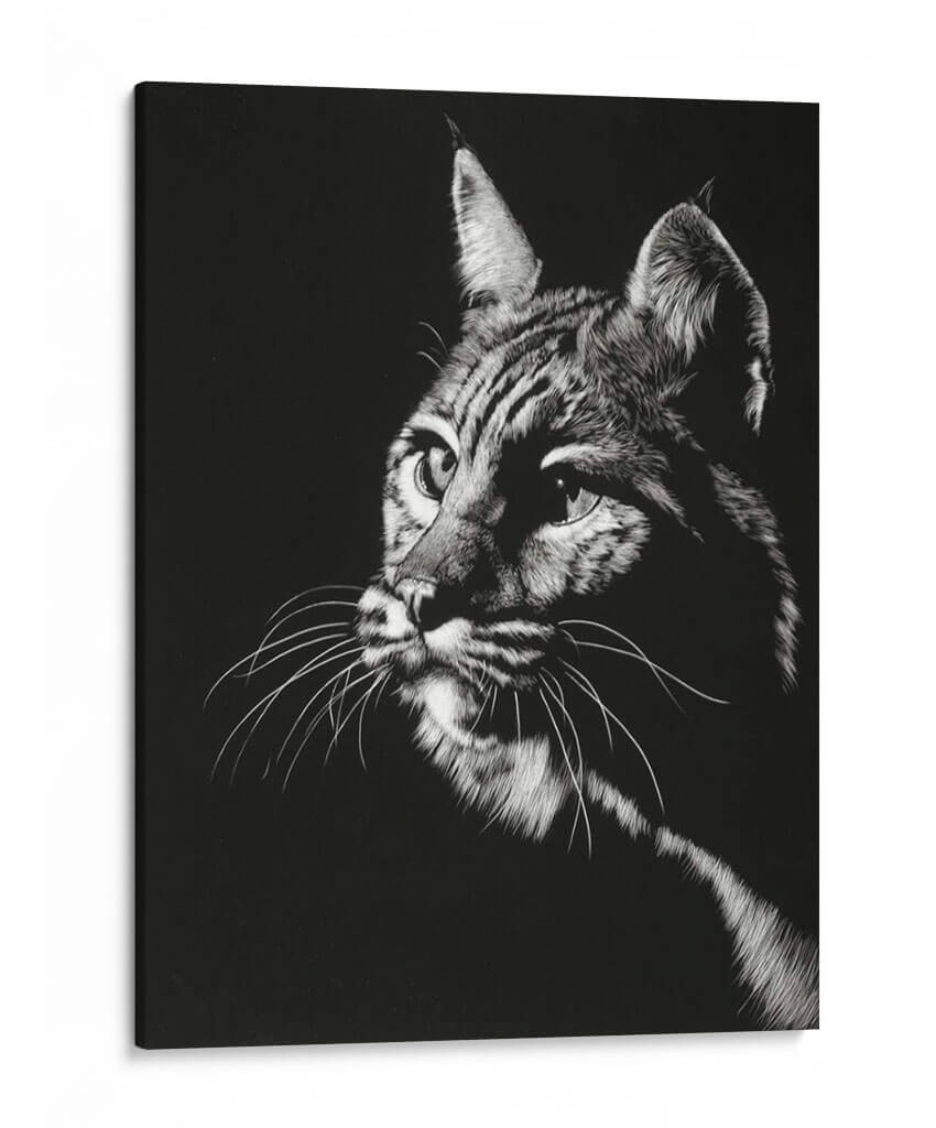 Negro Glimpse Ii - Julie T. Chapman | Cuadro decorativo de Canvas Lab