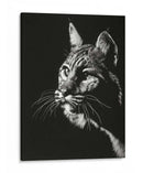 Negro Glimpse Ii - Julie T. Chapman | Cuadro decorativo de Canvas Lab