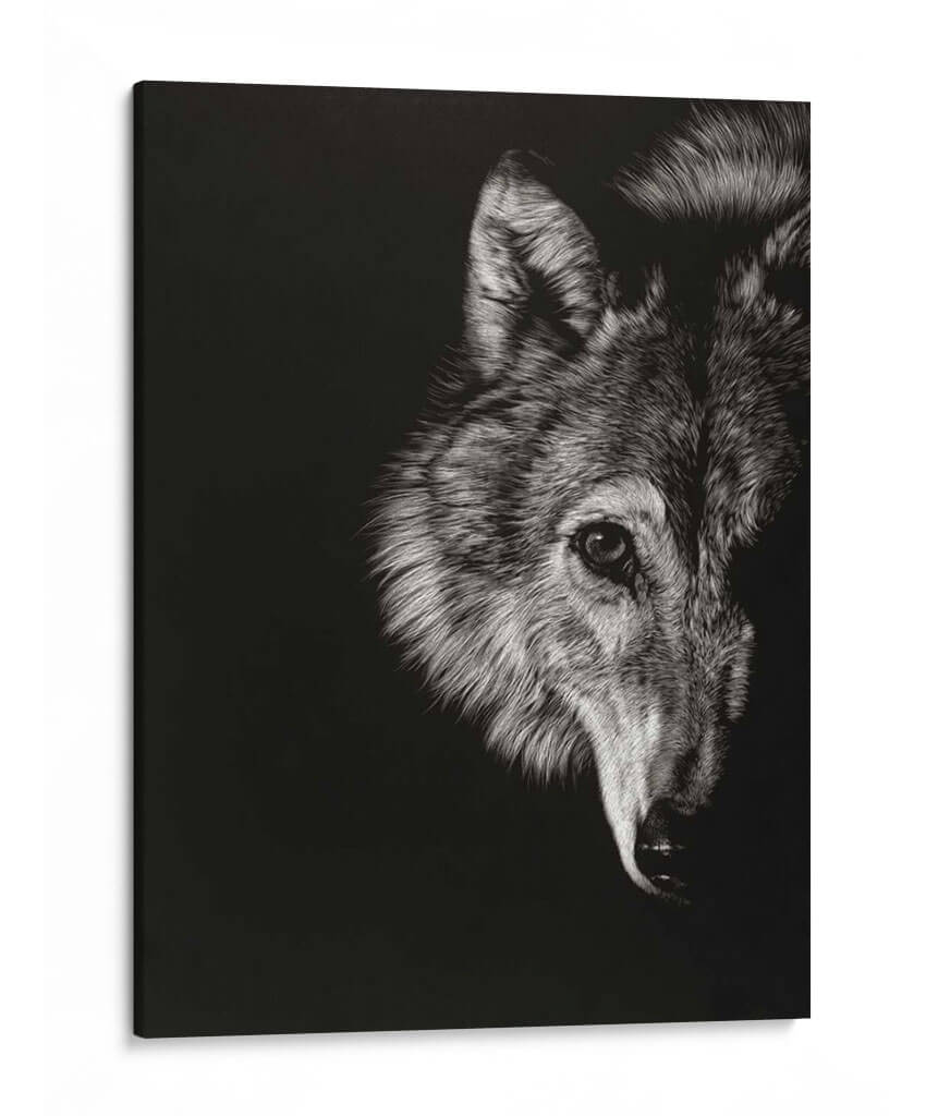 Negro Glimpse Iii - Julie T. Chapman | Cuadro decorativo de Canvas Lab