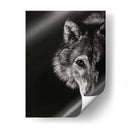 Negro Glimpse Iii - Julie T. Chapman | Cuadro decorativo de Canvas Lab