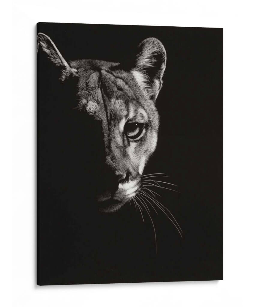 Negro Glimpse Iv - Julie T. Chapman | Cuadro decorativo de Canvas Lab