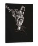 Negro Glimpse Iv - Julie T. Chapman | Cuadro decorativo de Canvas Lab