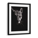 Negro Glimpse Iv - Julie T. Chapman | Cuadro decorativo de Canvas Lab