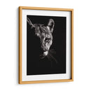 Negro Glimpse Iv - Julie T. Chapman | Cuadro decorativo de Canvas Lab