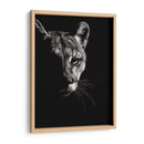 Negro Glimpse Iv - Julie T. Chapman | Cuadro decorativo de Canvas Lab