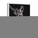 Negro Glimpse Iv - Julie T. Chapman | Cuadro decorativo de Canvas Lab