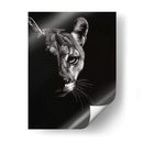 Negro Glimpse Iv - Julie T. Chapman | Cuadro decorativo de Canvas Lab