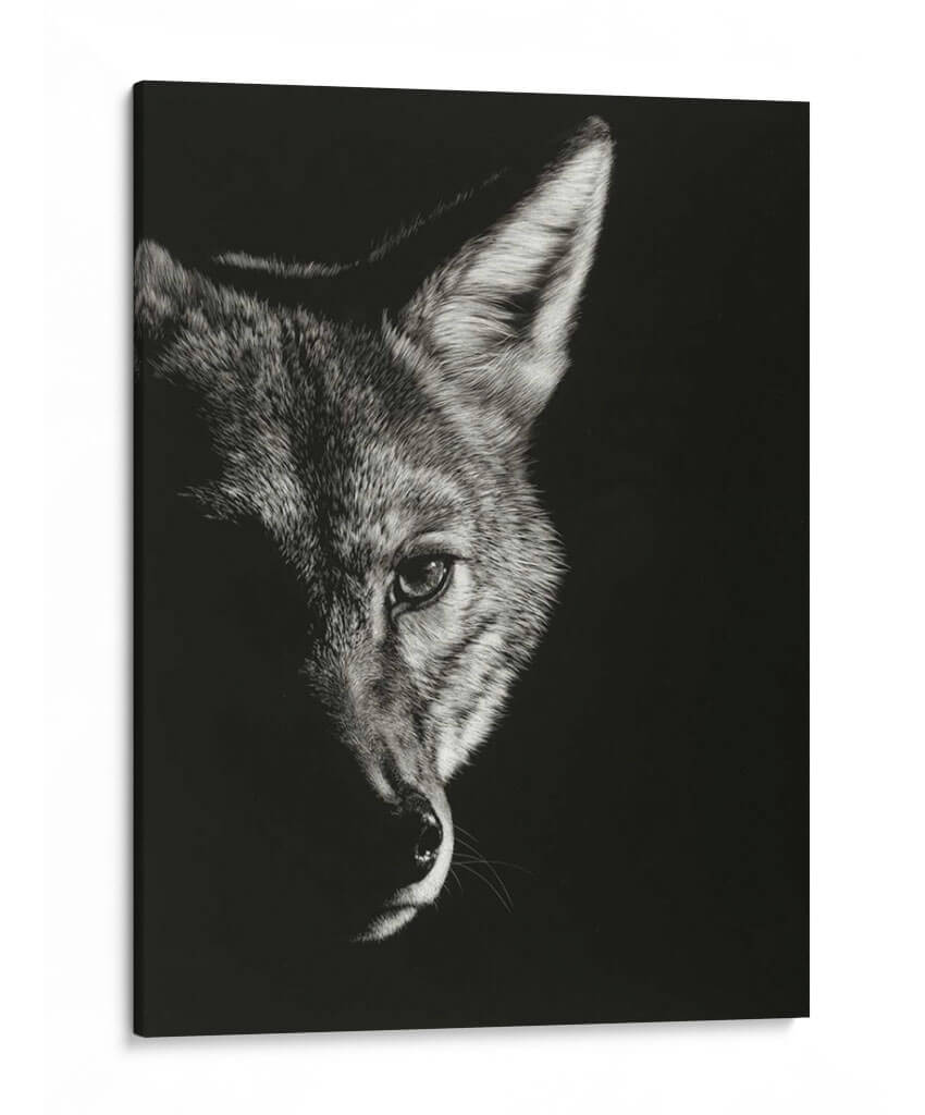 Negro Glimpse Vi - Julie T. Chapman | Cuadro decorativo de Canvas Lab