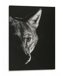 Negro Glimpse Vi - Julie T. Chapman | Cuadro decorativo de Canvas Lab