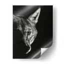 Negro Glimpse Vi - Julie T. Chapman | Cuadro decorativo de Canvas Lab