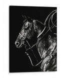 Scratchboard Rodeo V - Julie T. Chapman | Cuadro decorativo de Canvas Lab