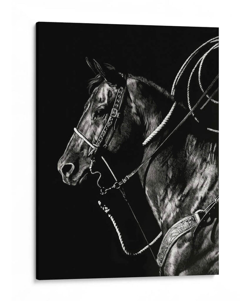 Scratchboard Rodeo V - Julie T. Chapman | Cuadro decorativo de Canvas Lab