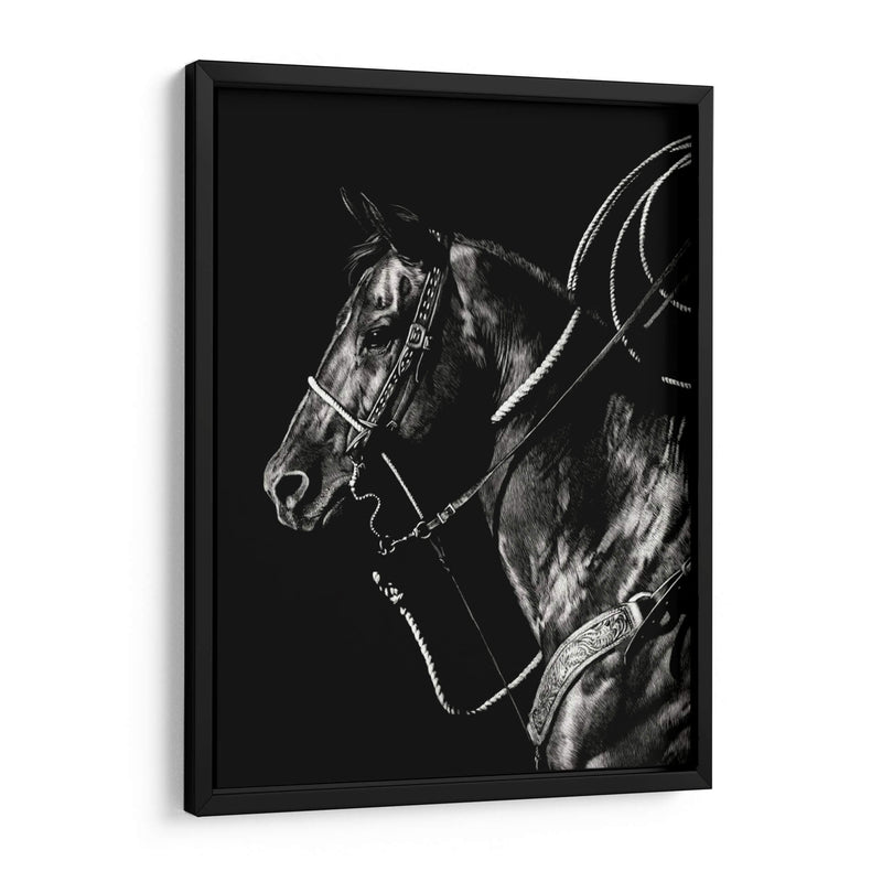 Scratchboard Rodeo V - Julie T. Chapman | Cuadro decorativo de Canvas Lab