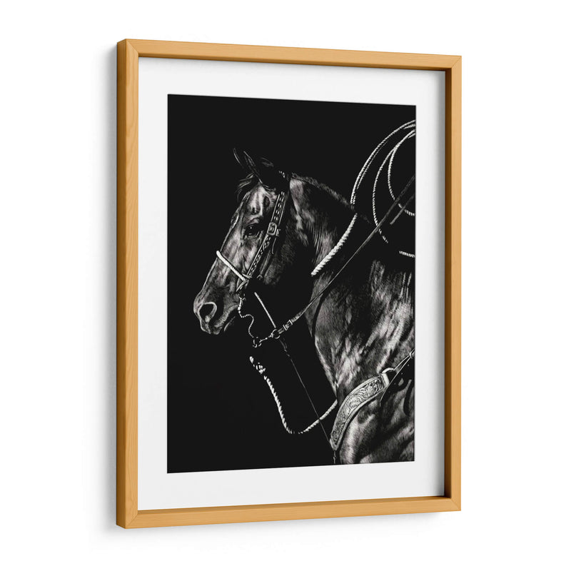 Scratchboard Rodeo V - Julie T. Chapman | Cuadro decorativo de Canvas Lab
