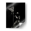 Scratchboard Rodeo Vi - Julie T. Chapman | Cuadro decorativo de Canvas Lab