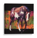 Color Cuadrado Iii - Julie T. Chapman | Cuadro decorativo de Canvas Lab