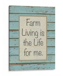 Sentimiento De La Granja Ii - Alonzo Saunders | Cuadro decorativo de Canvas Lab