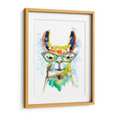 Smarty-Pants Llama - Jennifer Goldberger | Cuadro decorativo de Canvas Lab