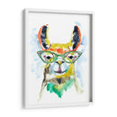 Smarty-Pants Llama - Jennifer Goldberger | Cuadro decorativo de Canvas Lab