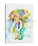 Smarty-Pants Elephant - Jennifer Goldberger | Cuadro decorativo de Canvas Lab