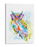 Smarty-Pants Owl - Jennifer Goldberger | Cuadro decorativo de Canvas Lab