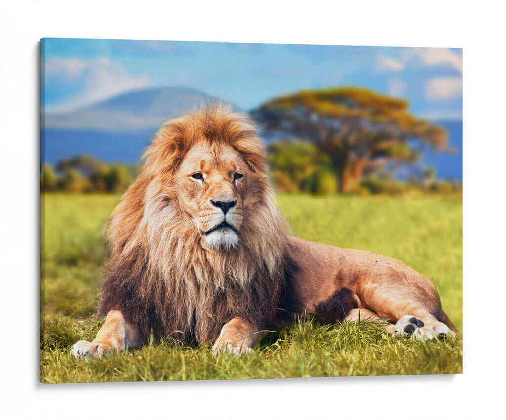 El rey reposando | Cuadro decorativo de Canvas Lab