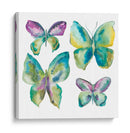 Mariposas Enjoyadas I - Chariklia Zarris | Cuadro decorativo de Canvas Lab