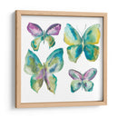 Mariposas Enjoyadas I - Chariklia Zarris | Cuadro decorativo de Canvas Lab
