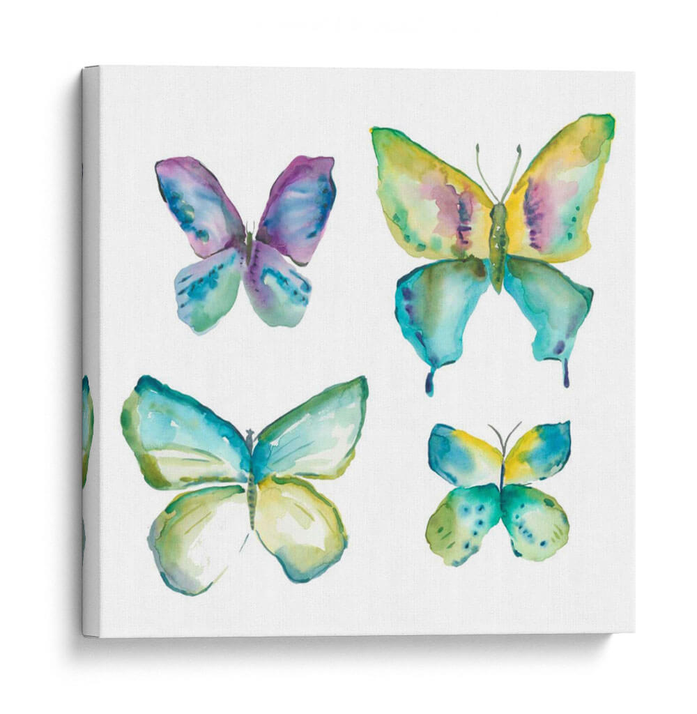 Mariposas Enjoyadas Ii - Chariklia Zarris | Cuadro decorativo de Canvas Lab