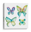 Mariposas Enjoyadas Ii - Chariklia Zarris | Cuadro decorativo de Canvas Lab