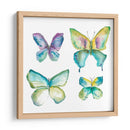 Mariposas Enjoyadas Ii - Chariklia Zarris | Cuadro decorativo de Canvas Lab