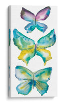 Mariposas Jeweled Iii - Chariklia Zarris | Cuadro decorativo de Canvas Lab