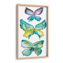 Mariposas Jeweled Iii - Chariklia Zarris | Cuadro decorativo de Canvas Lab