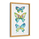 Mariposas Enjoyadas Iv - Chariklia Zarris | Cuadro decorativo de Canvas Lab
