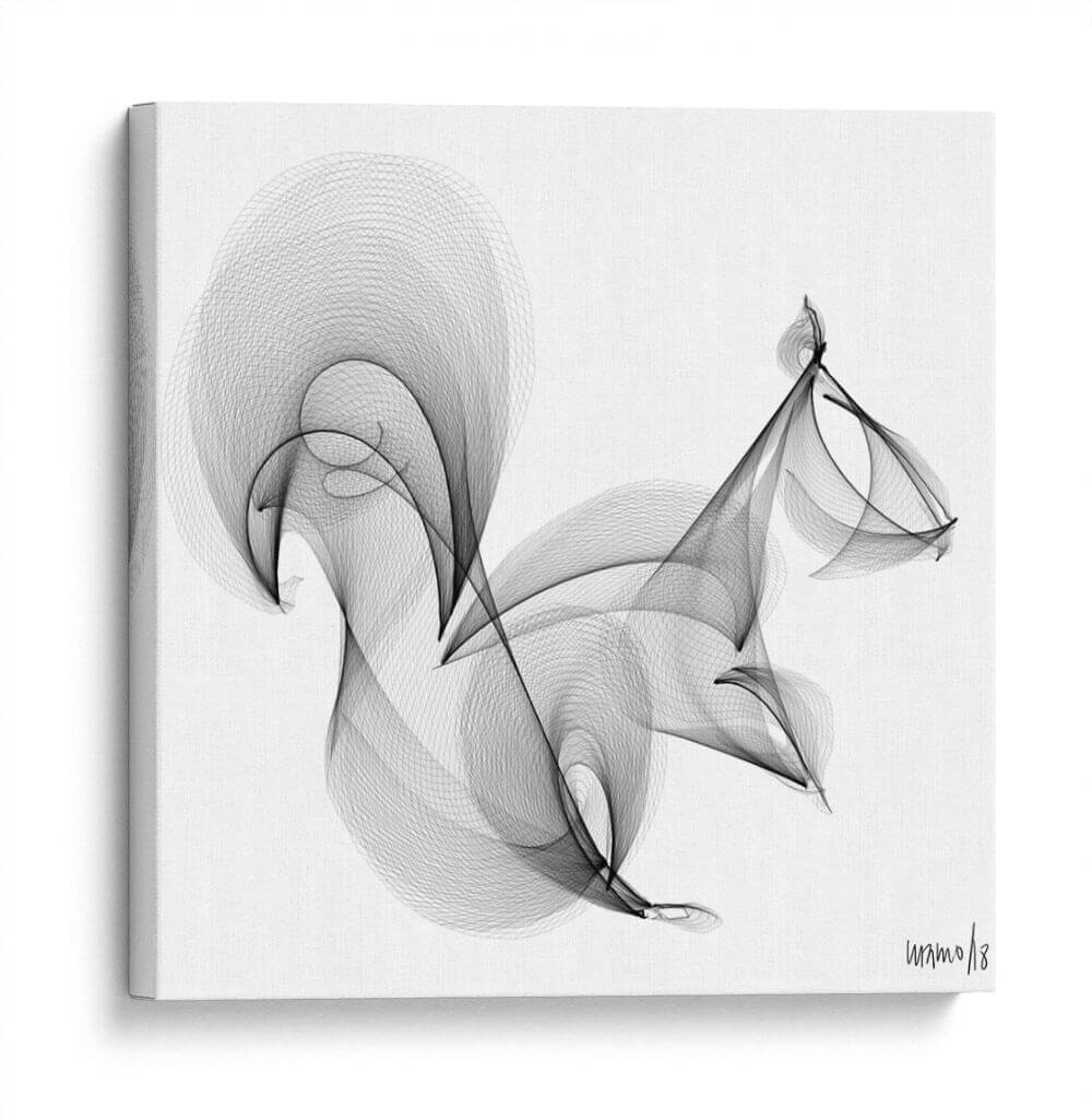ARDILLA - Gina Villalobos | Cuadro decorativo de Canvas Lab