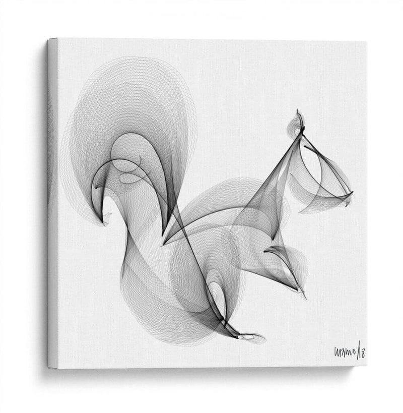 ARDILLA - Gina Villalobos | Cuadro decorativo de Canvas Lab