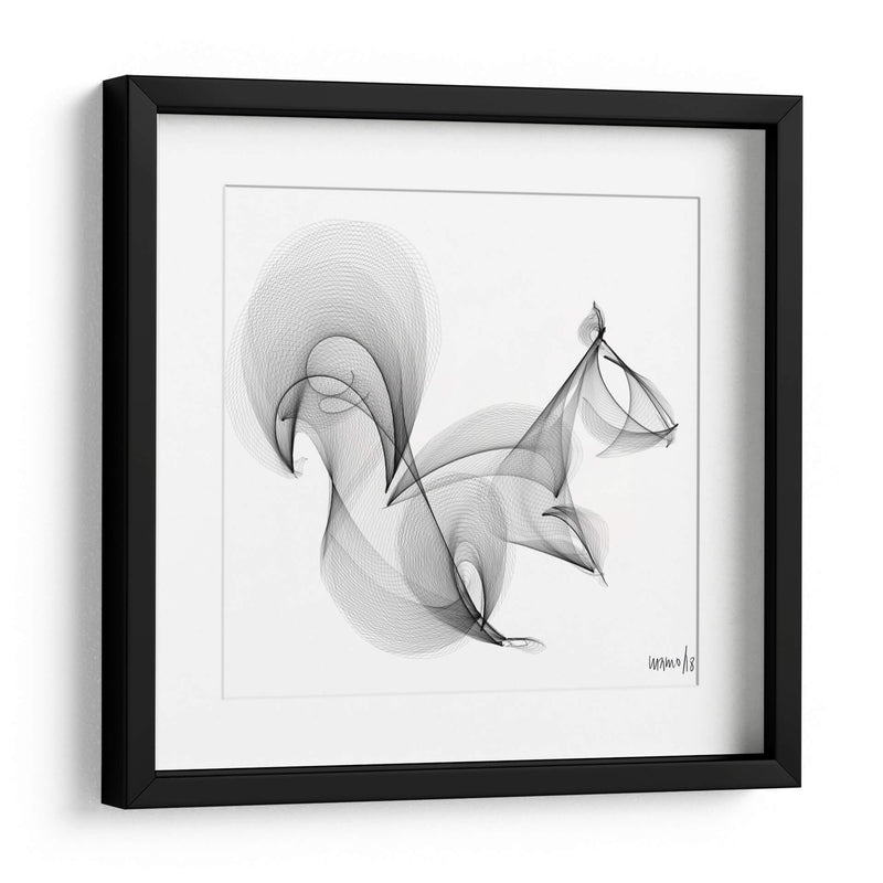 ARDILLA - Gina Villalobos | Cuadro decorativo de Canvas Lab