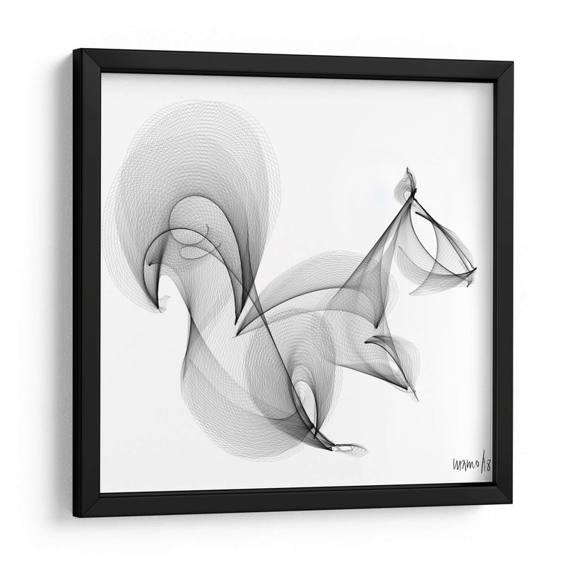 ARDILLA - Gina Villalobos | Cuadro decorativo de Canvas Lab