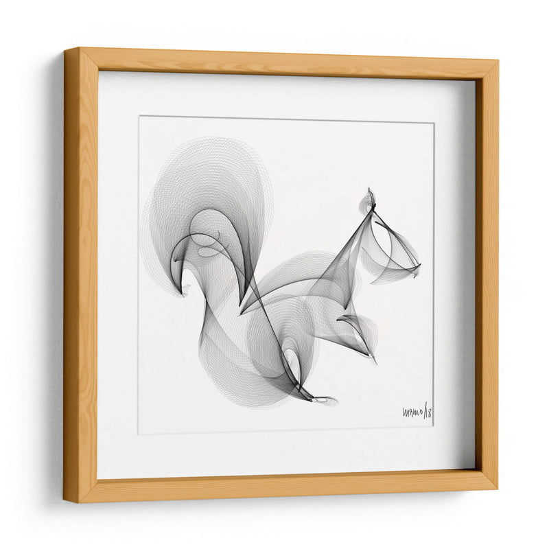 ARDILLA - Gina Villalobos | Cuadro decorativo de Canvas Lab