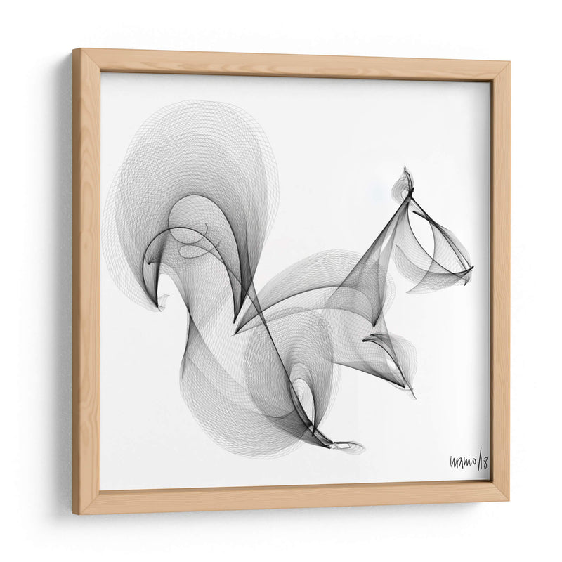 ARDILLA - Gina Villalobos | Cuadro decorativo de Canvas Lab