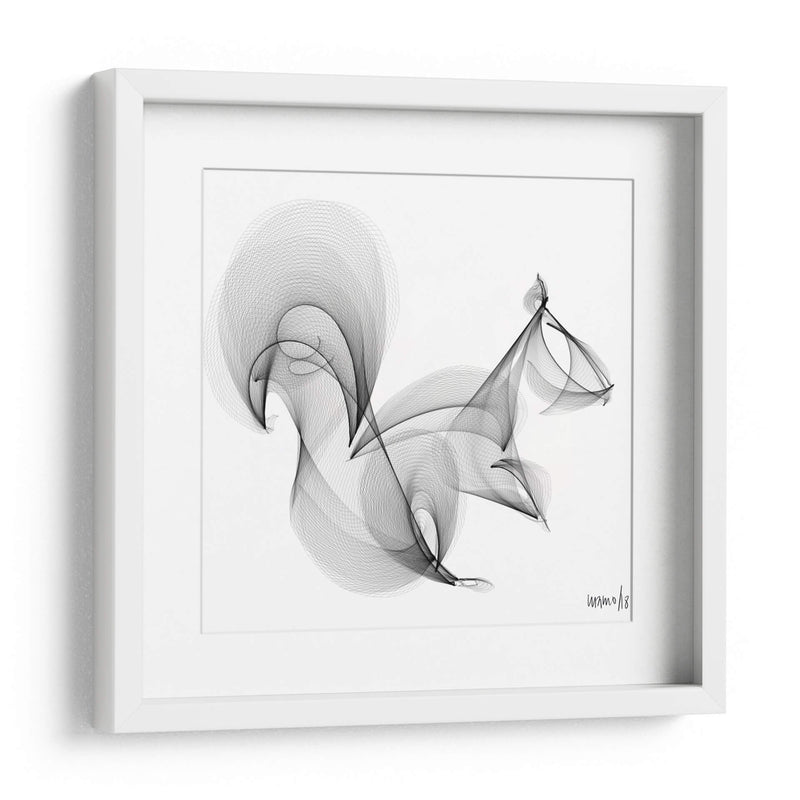 ARDILLA - Gina Villalobos | Cuadro decorativo de Canvas Lab