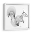 ARDILLA - Gina Villalobos | Cuadro decorativo de Canvas Lab