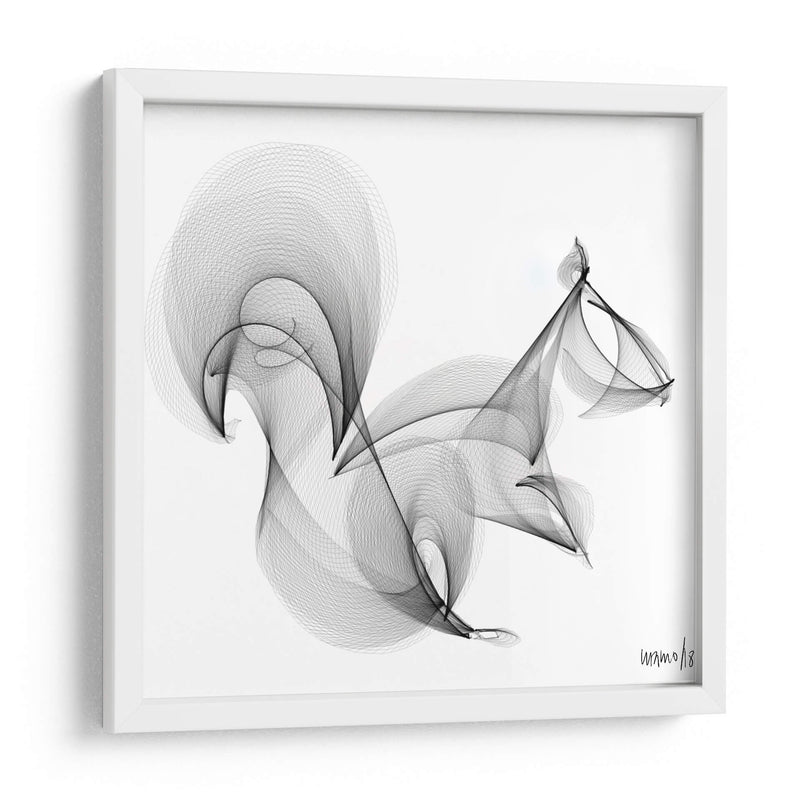 ARDILLA - Gina Villalobos | Cuadro decorativo de Canvas Lab