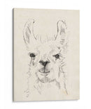 Llama Retrato I - Jennifer Goldberger | Cuadro decorativo de Canvas Lab