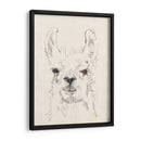 Llama Retrato I - Jennifer Goldberger | Cuadro decorativo de Canvas Lab