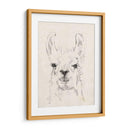 Llama Retrato I - Jennifer Goldberger | Cuadro decorativo de Canvas Lab