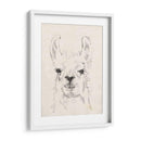 Llama Retrato I - Jennifer Goldberger | Cuadro decorativo de Canvas Lab