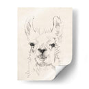 Llama Retrato I - Jennifer Goldberger | Cuadro decorativo de Canvas Lab